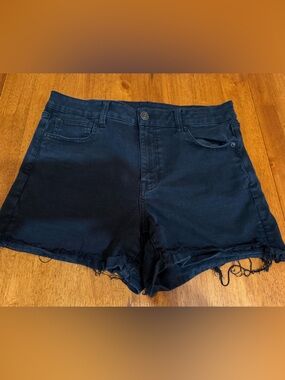 American Eagle Outfitters Black Frayed Hem Jean Shorts